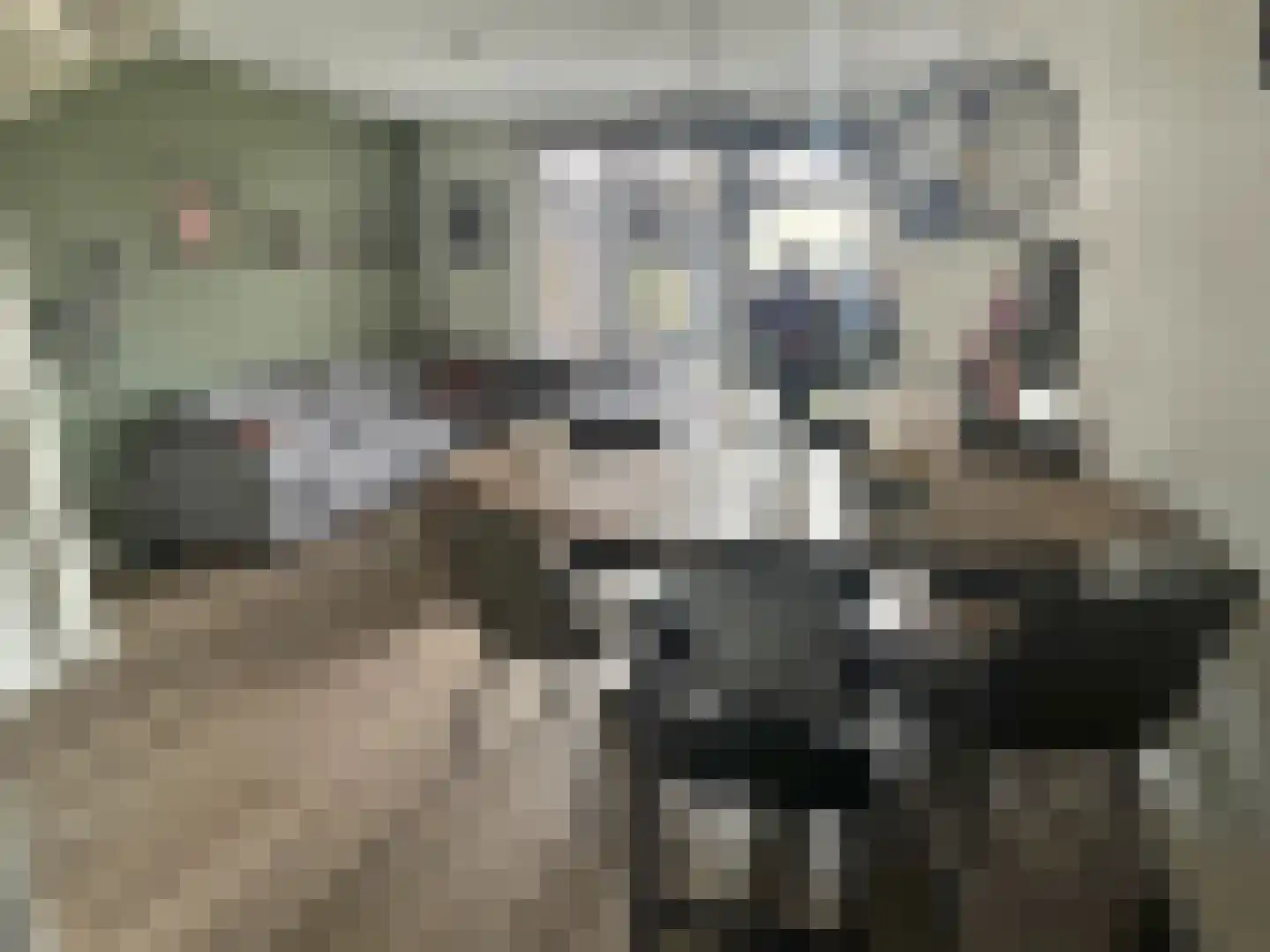 De Wieken 19 Elburg thumbnail 4