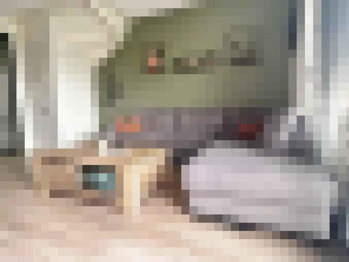 De Wieken 19 Elburg thumbnail 5