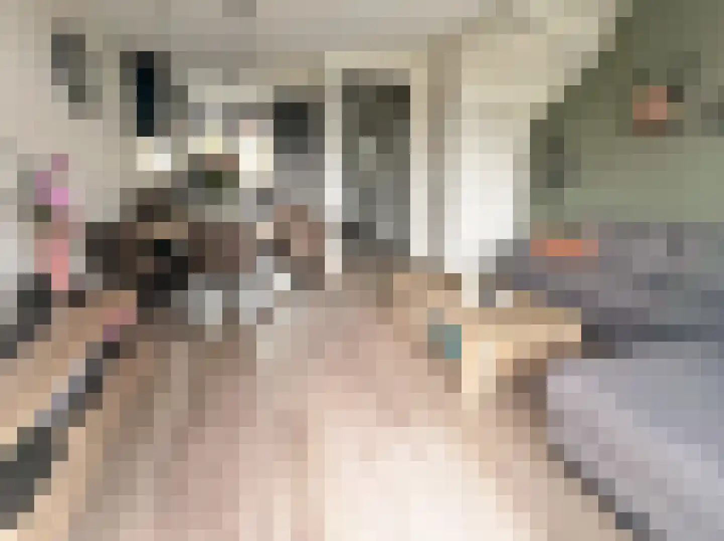 De Wieken 19 Elburg thumbnail 6