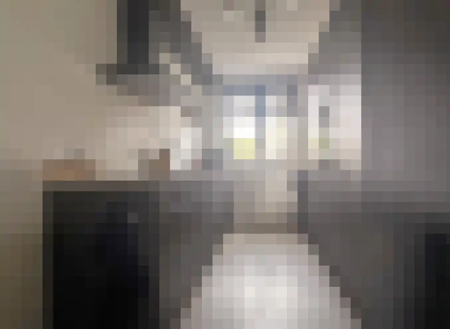 De Wieken 19 Elburg thumbnail 7
