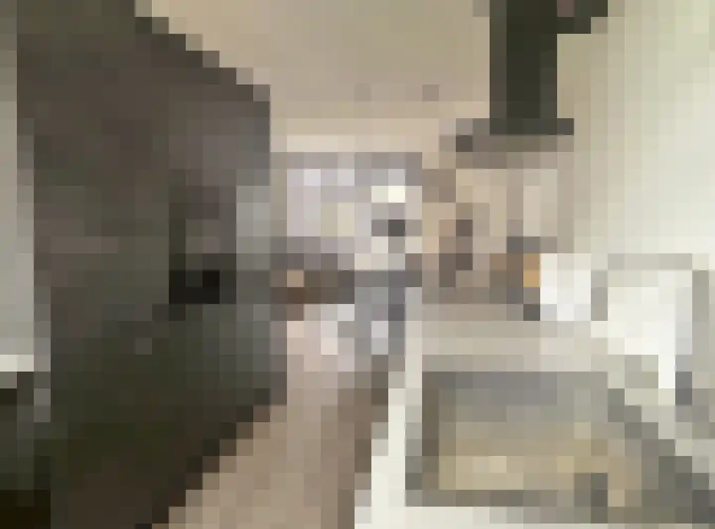 De Wieken 19 Elburg thumbnail 8