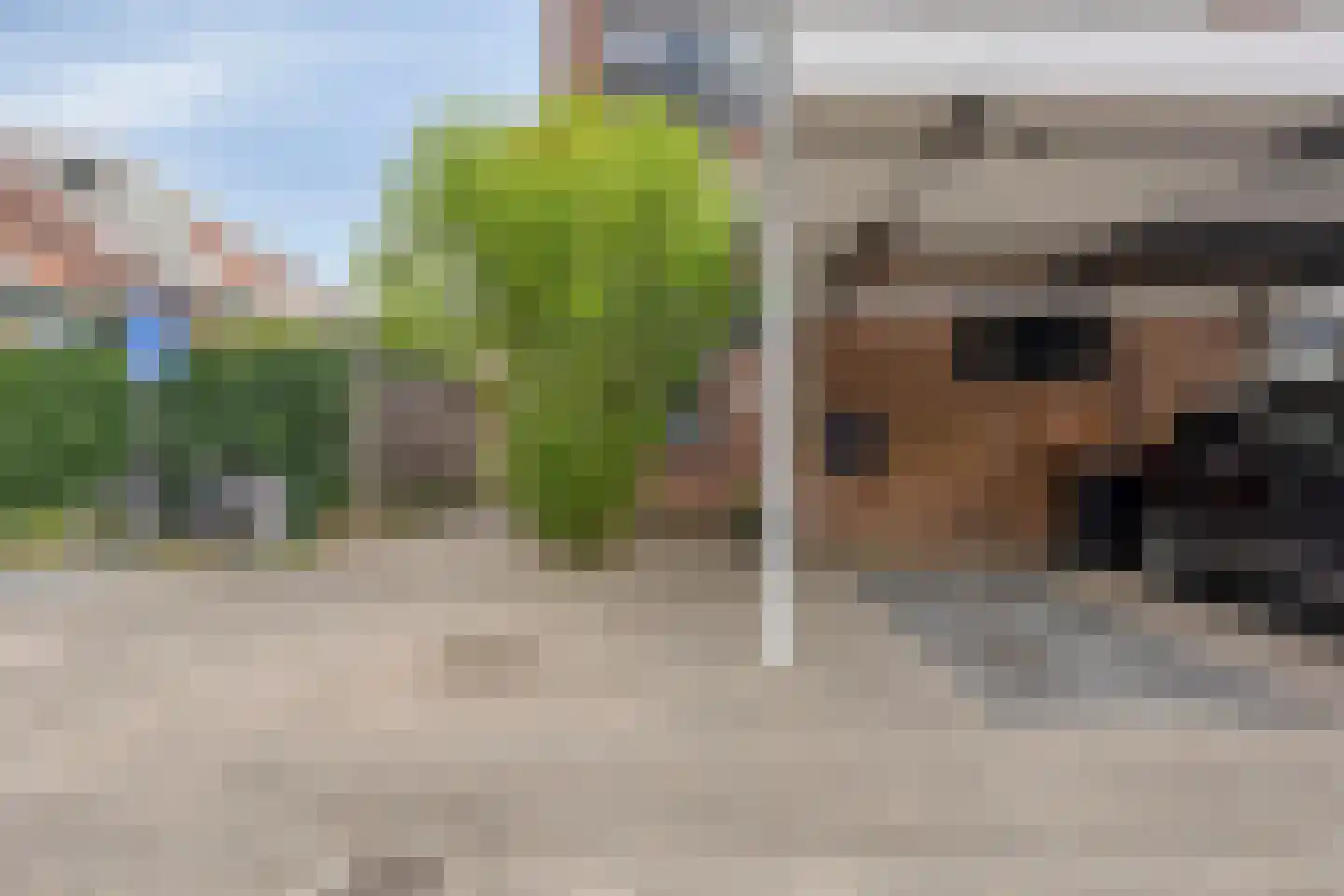 De Wieken 191 Hoorn thumbnail 8