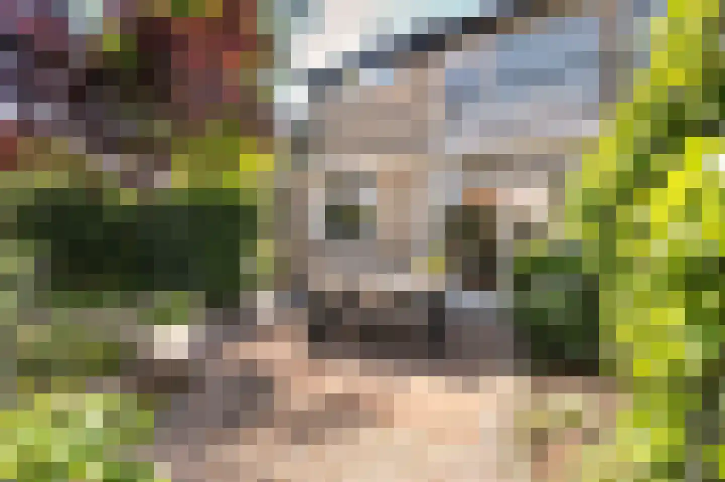 De Wieken 2 Malden thumbnail 31