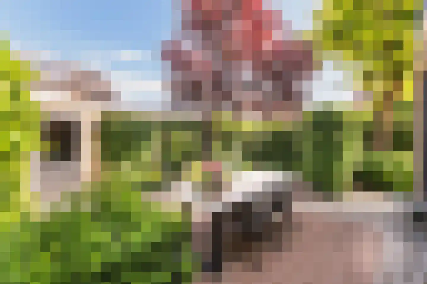 De Wieken 2 Malden thumbnail 34