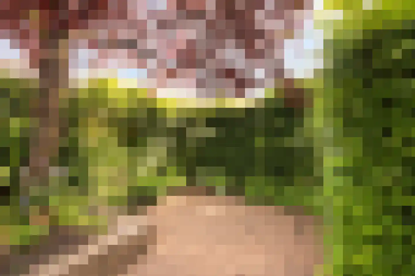 De Wieken 2 Malden thumbnail 36
