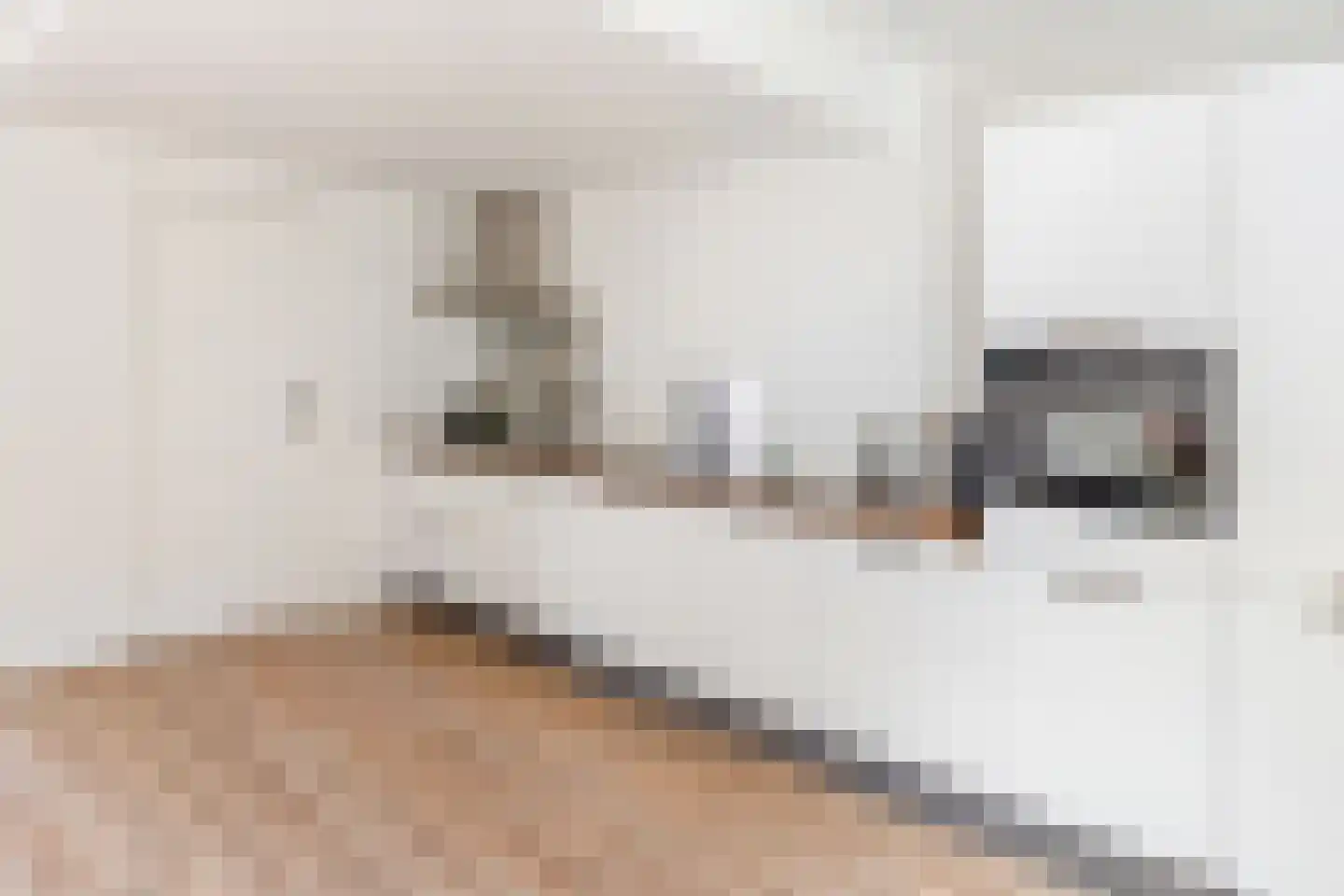 de Wieken 22 Raalte thumbnail 10