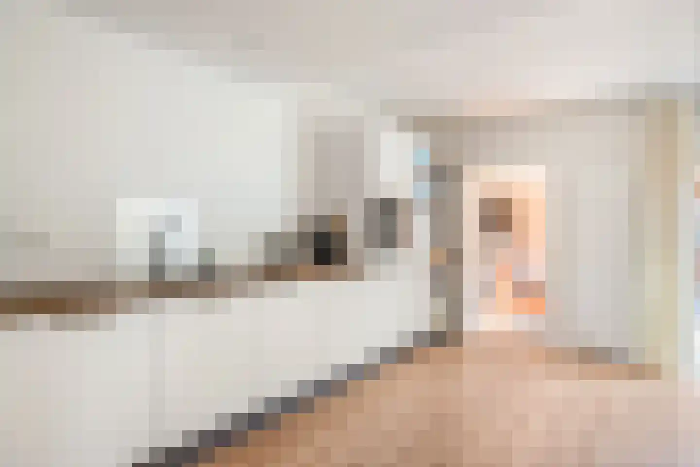 de Wieken 22 Raalte thumbnail 11