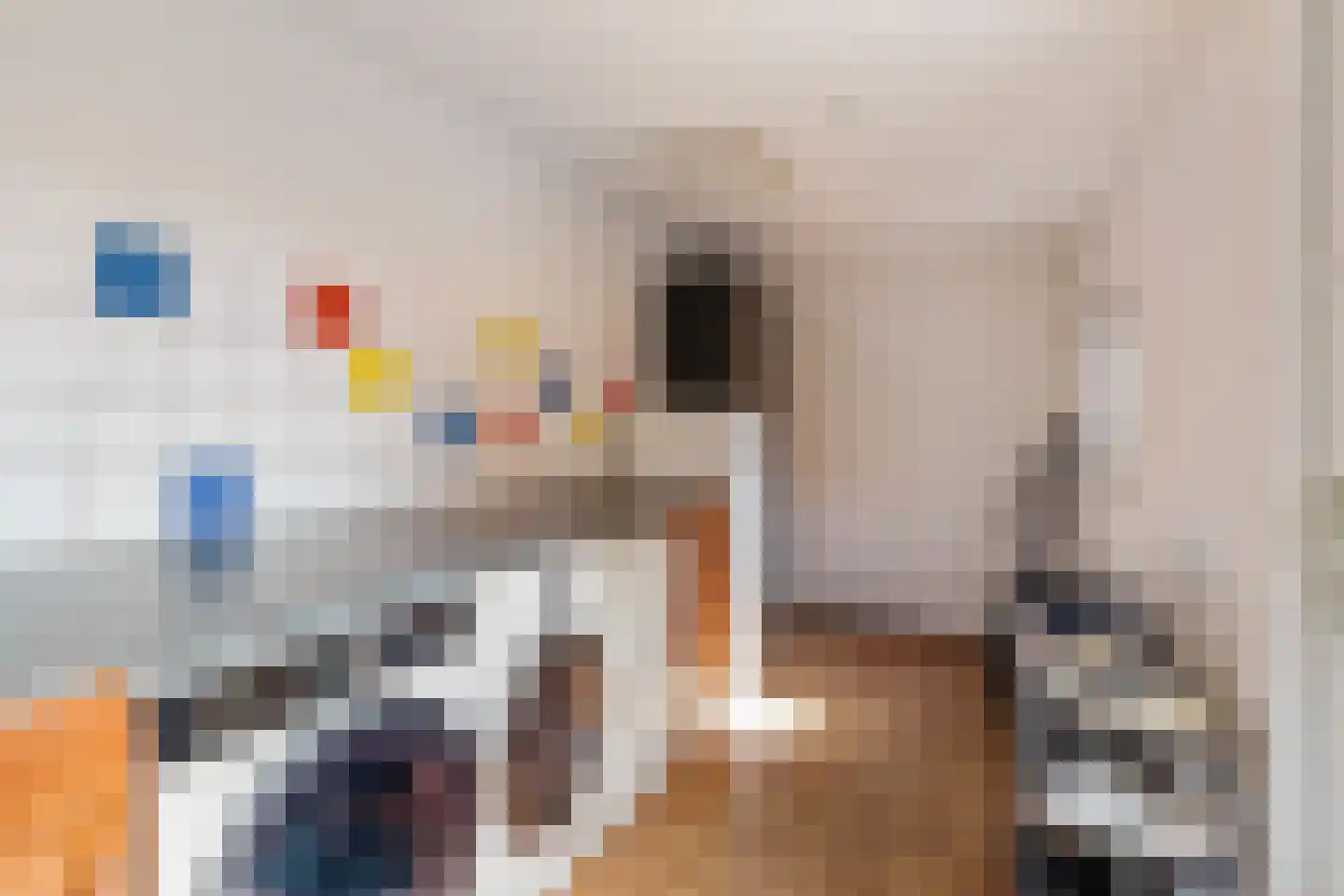 de Wieken 22 Raalte thumbnail 13