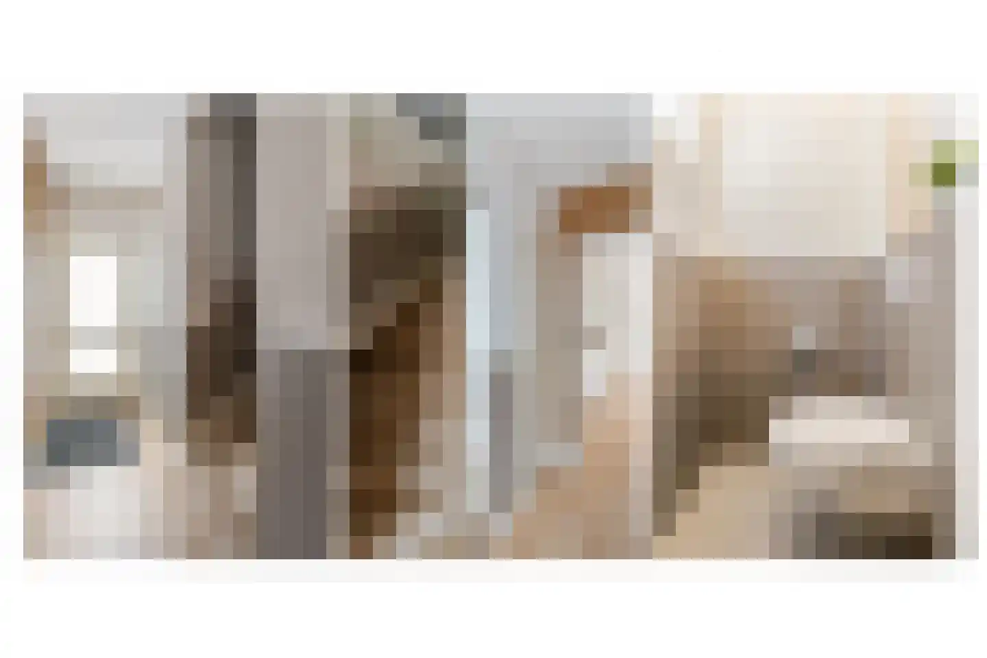 de Wieken 22 Raalte thumbnail 14