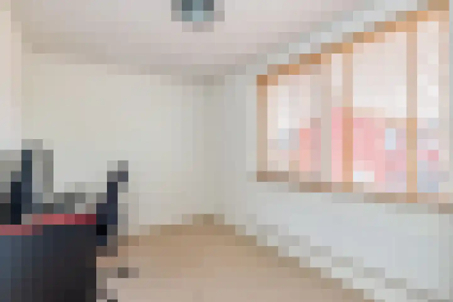 de Wieken 22 Raalte thumbnail 17