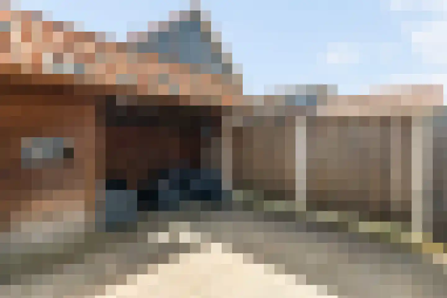 de Wieken 22 Raalte thumbnail 20