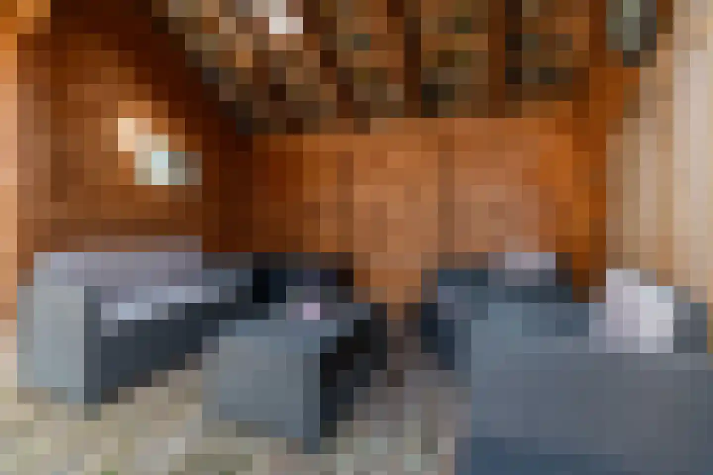 de Wieken 22 Raalte thumbnail 17
