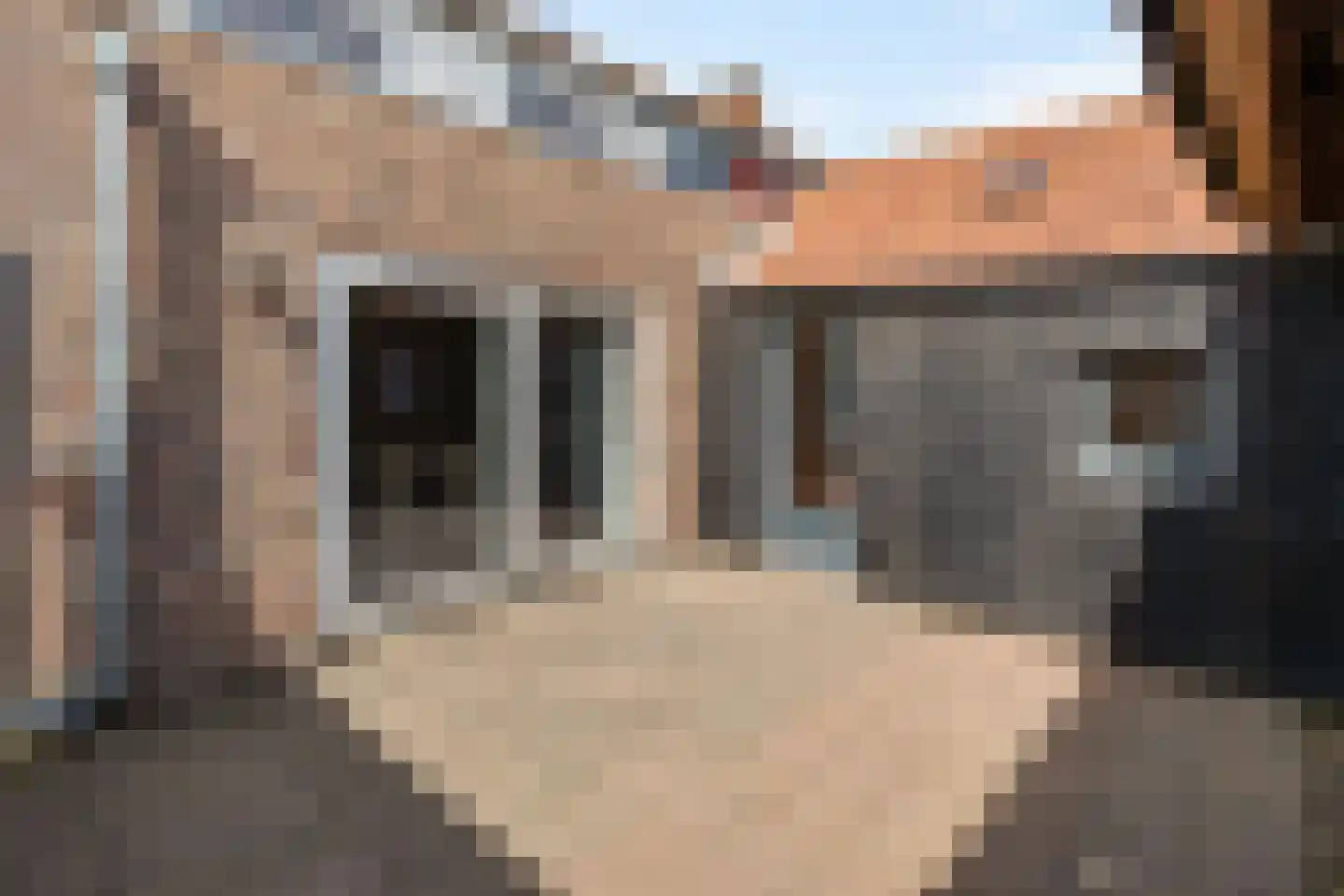 de Wieken 22 Raalte thumbnail 20