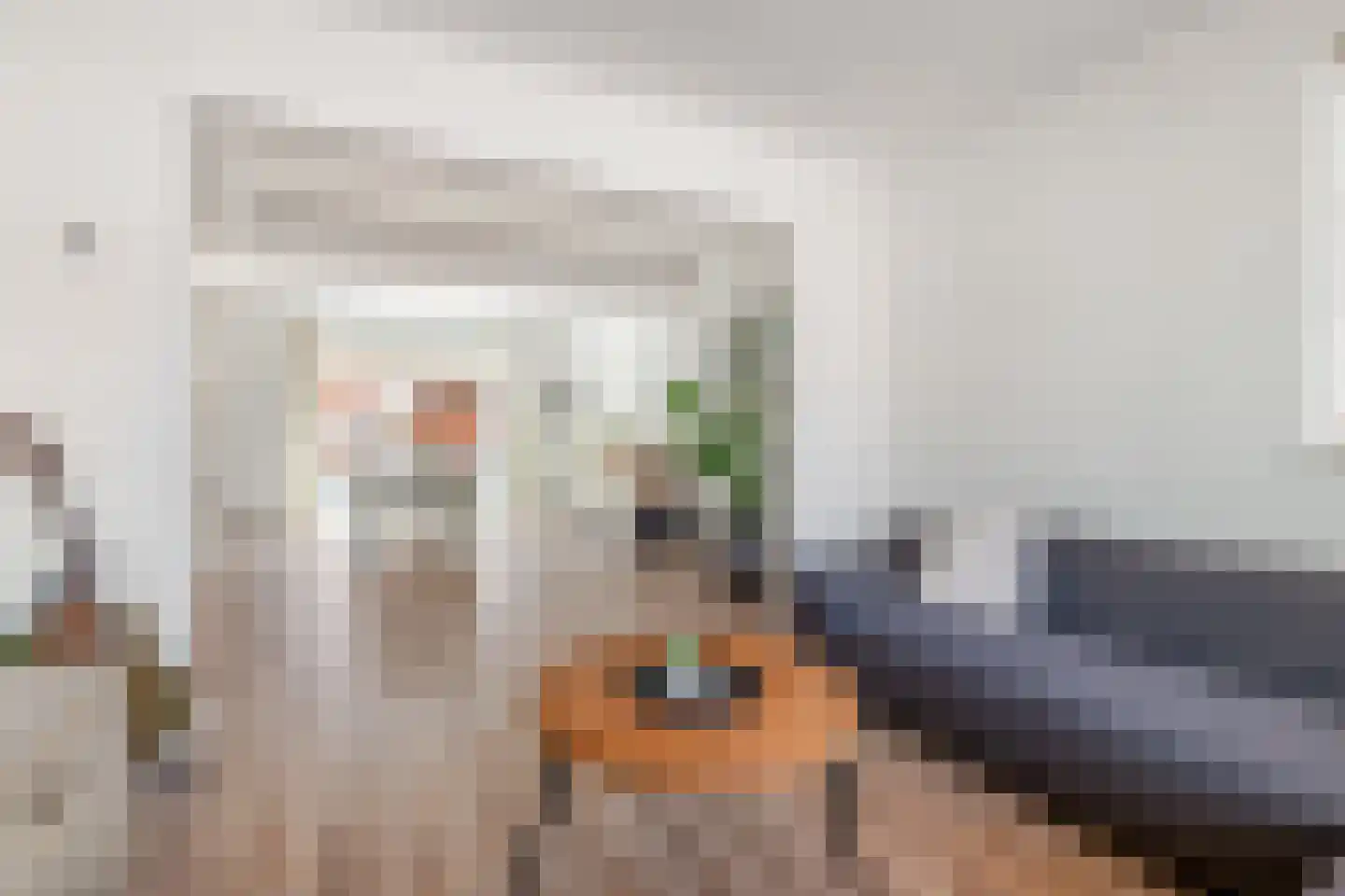 de Wieken 22 Raalte thumbnail 5
