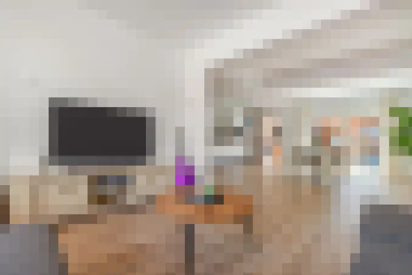 de Wieken 22 Raalte thumbnail 7
