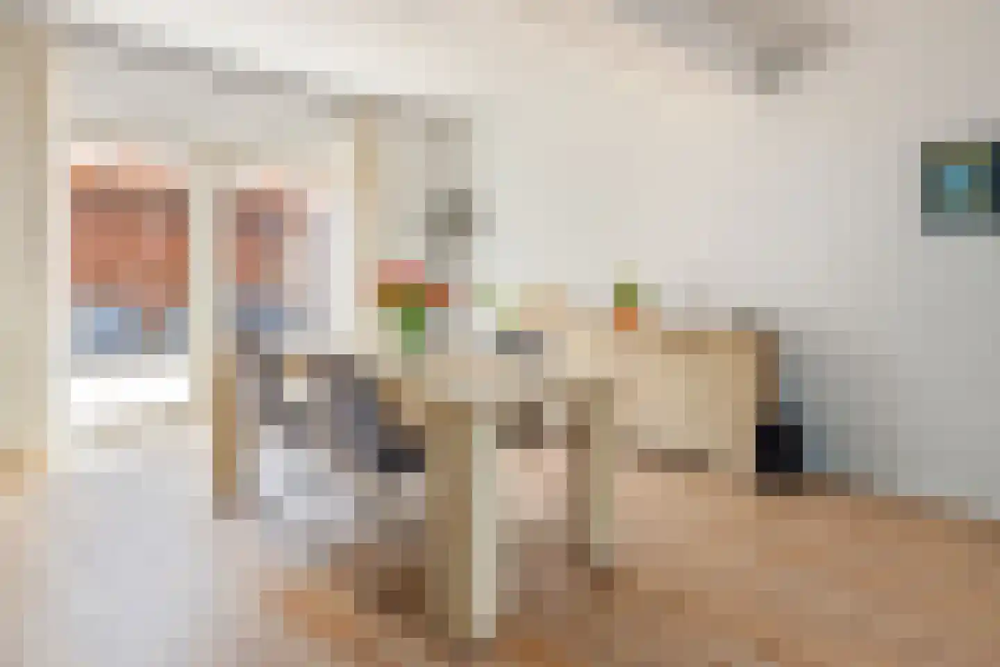 de Wieken 22 Raalte thumbnail 9
