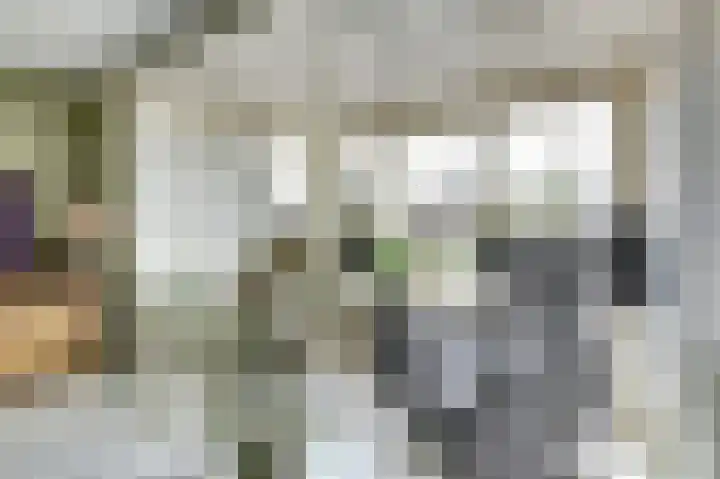 De Wieken 22 Sint Jansklooster thumbnail 10