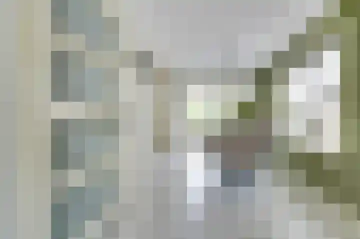 De Wieken 22 Sint Jansklooster thumbnail 11