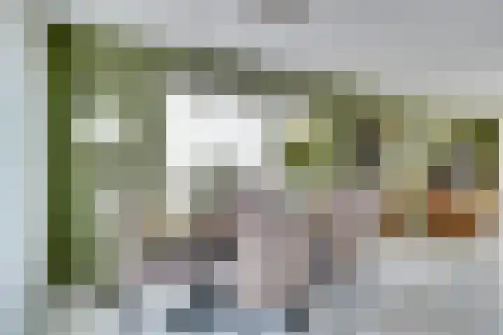 De Wieken 22 Sint Jansklooster thumbnail 12