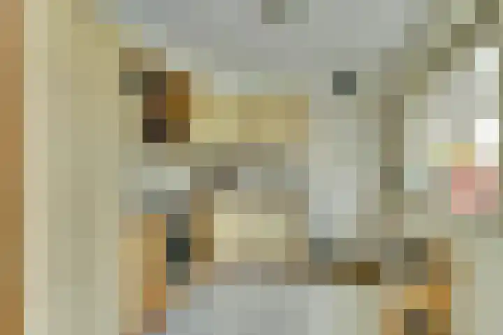 De Wieken 22 Sint Jansklooster thumbnail 13