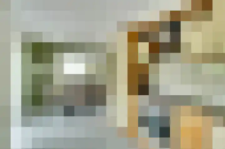 De Wieken 22 Sint Jansklooster thumbnail 14