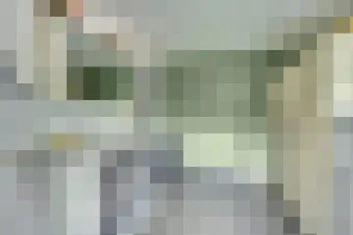 De Wieken 22 Sint Jansklooster thumbnail 15