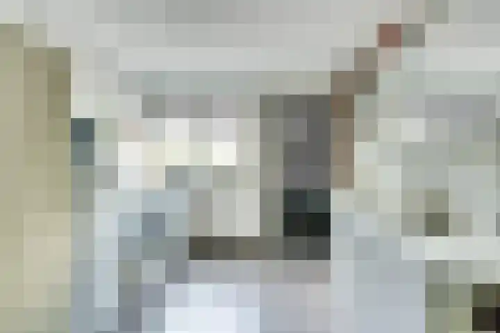 De Wieken 22 Sint Jansklooster thumbnail 16