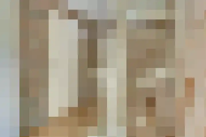 De Wieken 22 Sint Jansklooster thumbnail 17