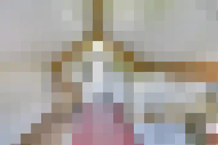 De Wieken 22 Sint Jansklooster thumbnail 26