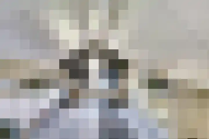De Wieken 22 Sint Jansklooster thumbnail 28