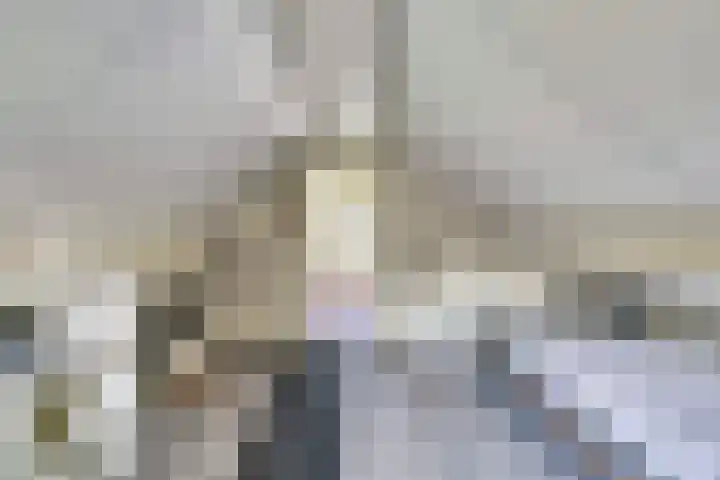 De Wieken 22 Sint Jansklooster thumbnail 29