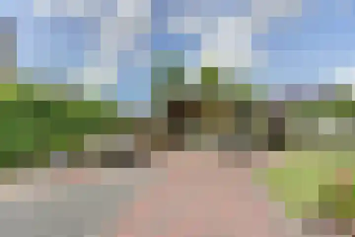 De Wieken 22 Sint Jansklooster thumbnail 37