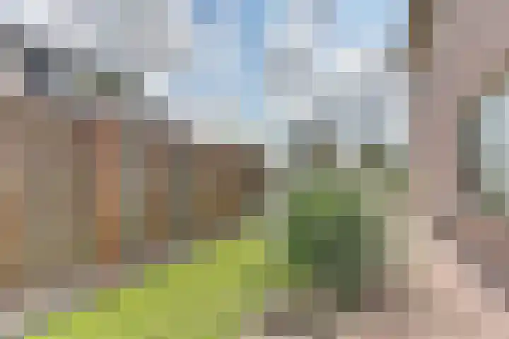 De Wieken 22 Sint Jansklooster thumbnail 41