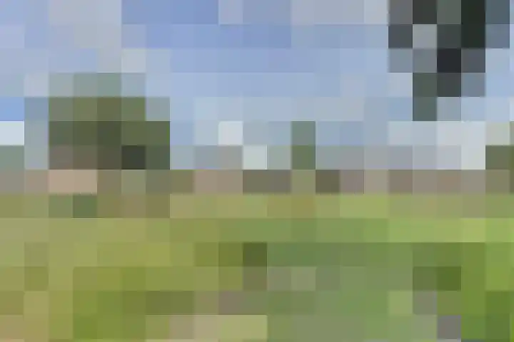De Wieken 22 Sint Jansklooster thumbnail 42