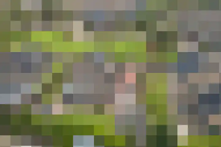 De Wieken 22 Sint Jansklooster thumbnail 43