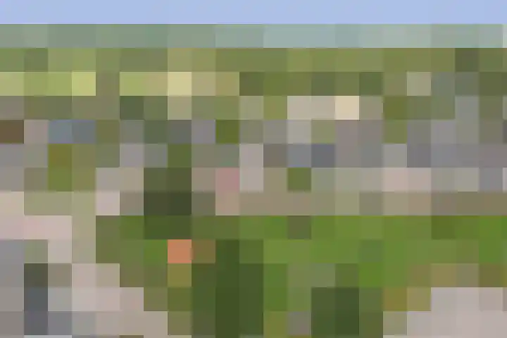 De Wieken 22 Sint Jansklooster thumbnail 45