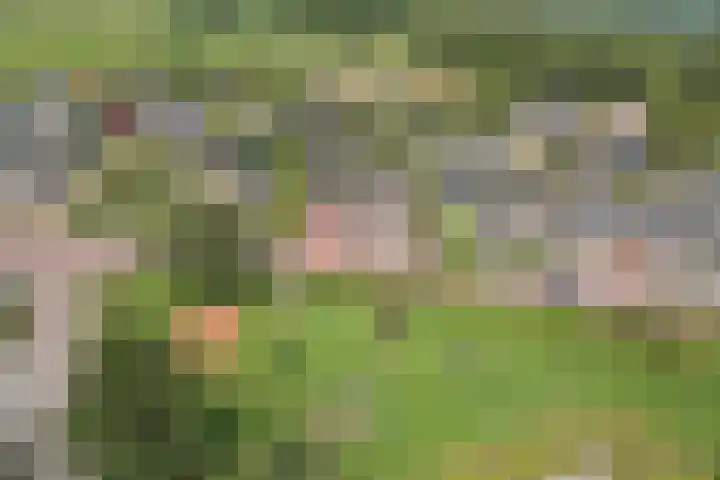 De Wieken 22 Sint Jansklooster thumbnail 46