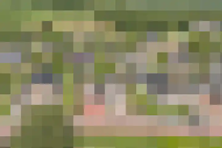 De Wieken 22 Sint Jansklooster thumbnail 47