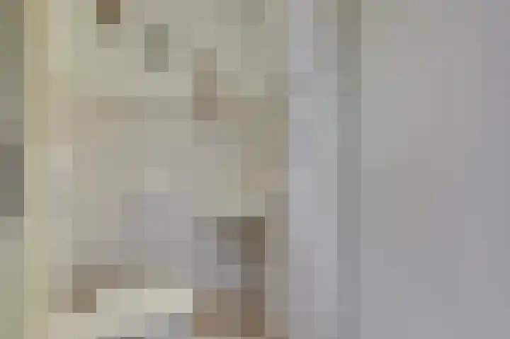 De Wieken 22 Sint Jansklooster thumbnail 6
