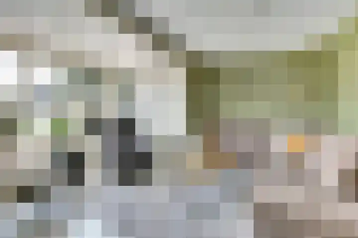 De Wieken 22 Sint Jansklooster thumbnail 7
