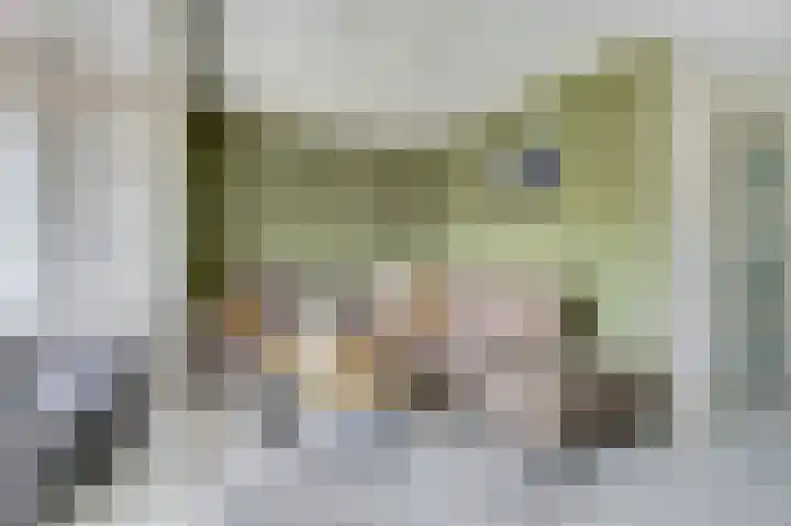 De Wieken 22 Sint Jansklooster thumbnail 8