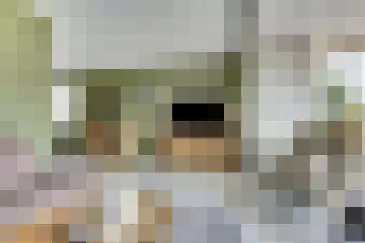 De Wieken 22 Sint Jansklooster thumbnail 9