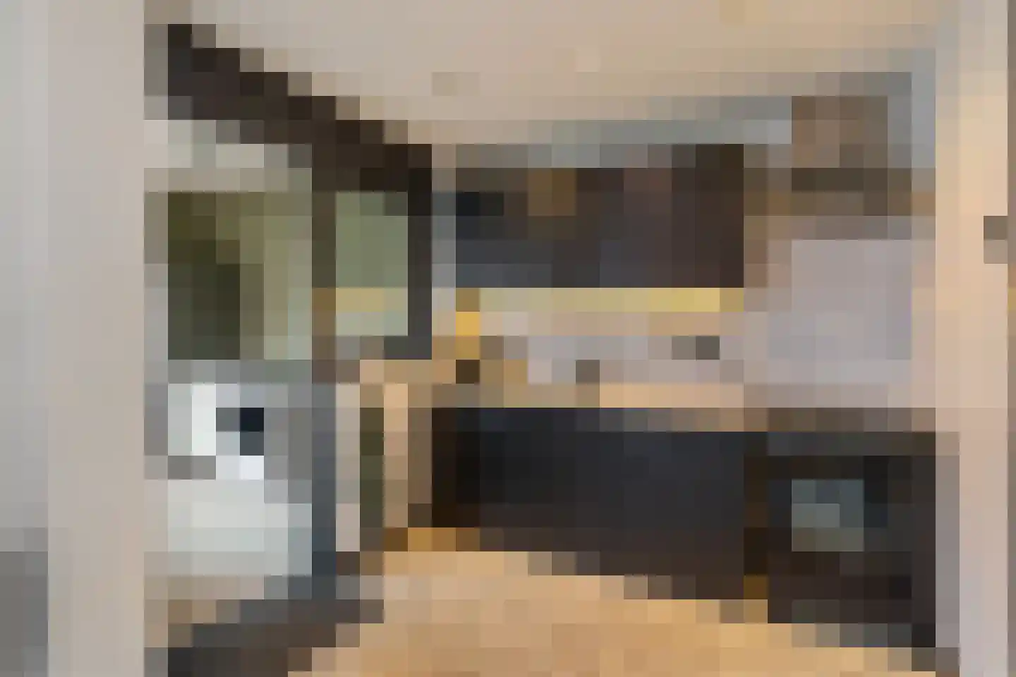de Wieken 24 Raalte thumbnail 10