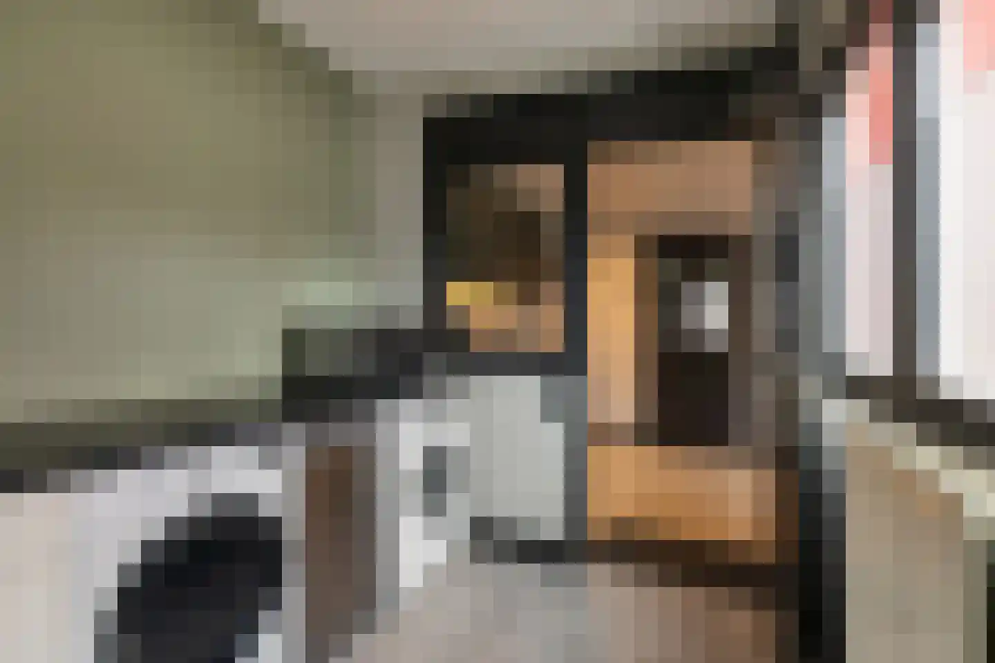 de Wieken 24 Raalte thumbnail 12