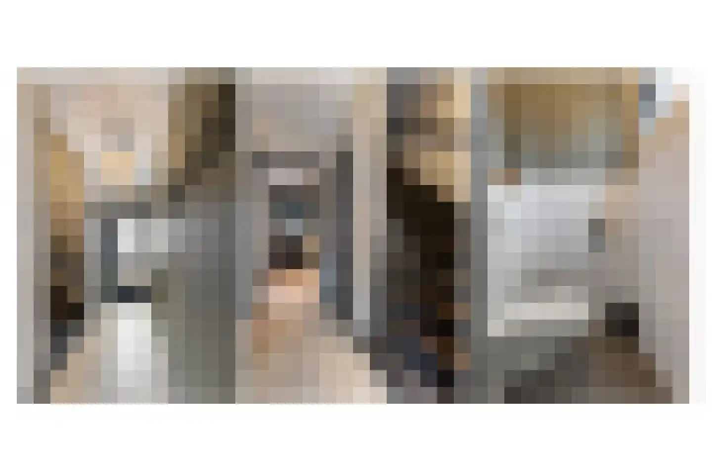 de Wieken 24 Raalte thumbnail 14