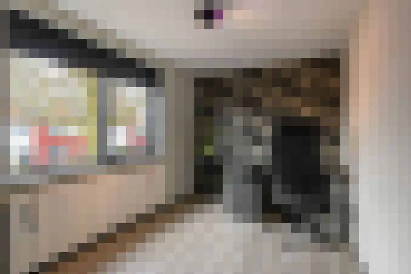 de Wieken 24 Raalte thumbnail 19
