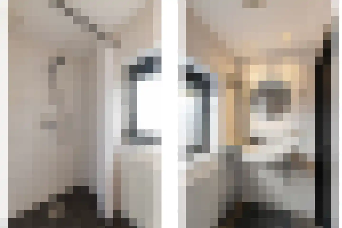 de Wieken 24 Raalte thumbnail 21