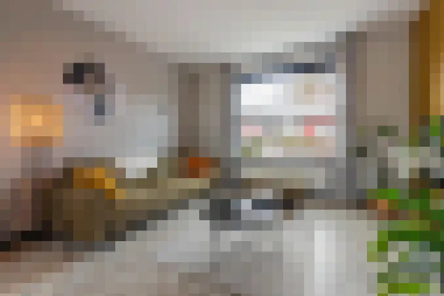 de Wieken 24 Raalte thumbnail 4