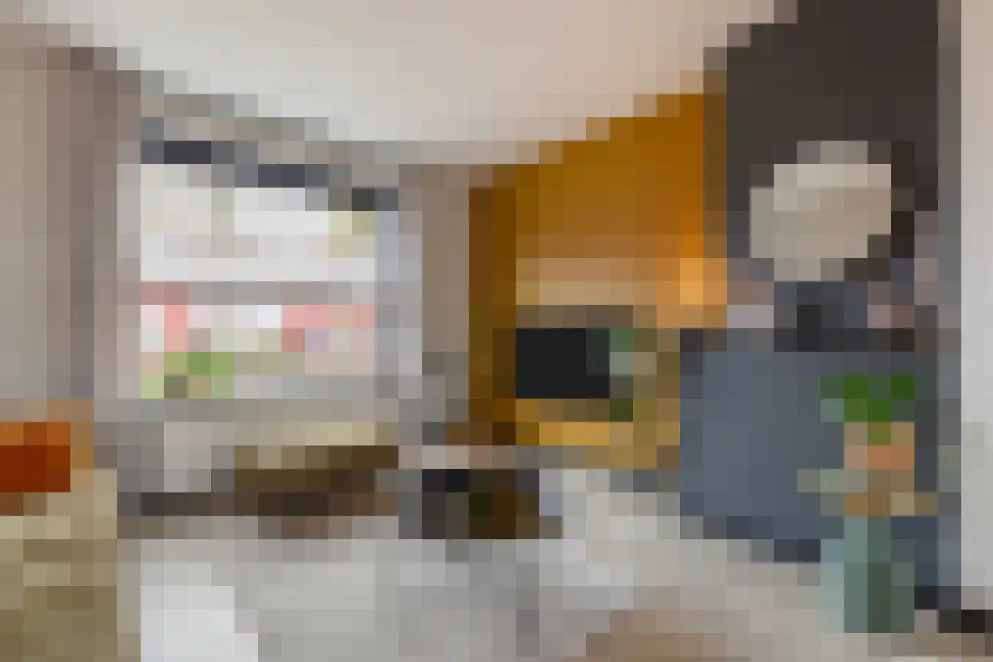 de Wieken 24 Raalte thumbnail 5