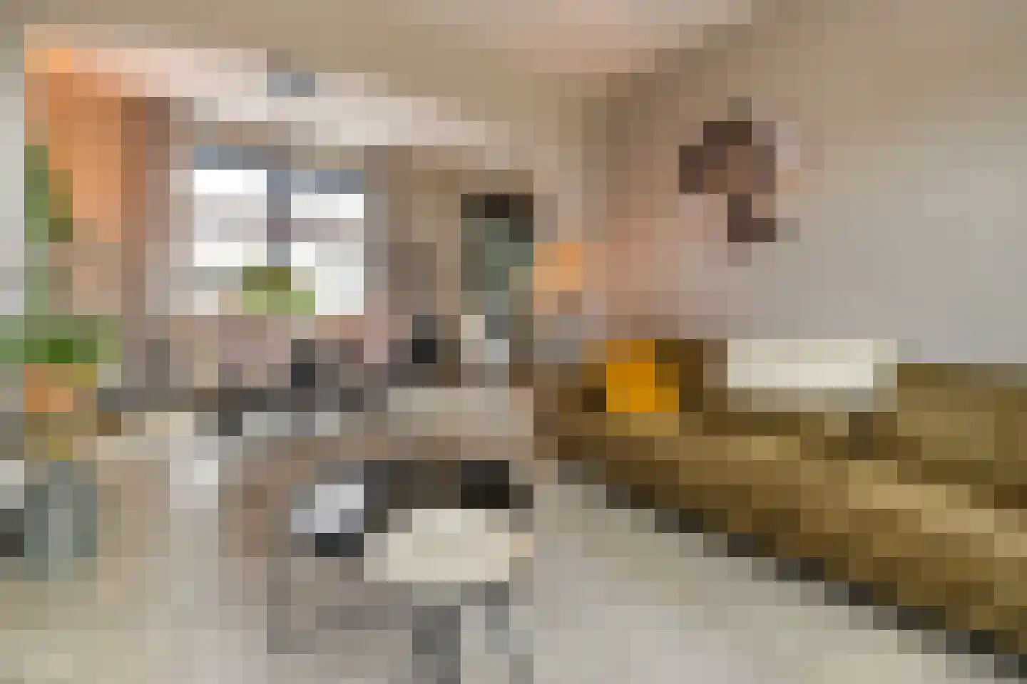 de Wieken 24 Raalte thumbnail 6